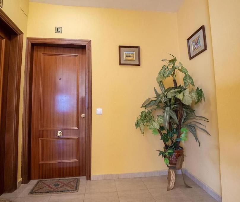 Encantador Duplex Con Terraza Privada En El Centro * Séville